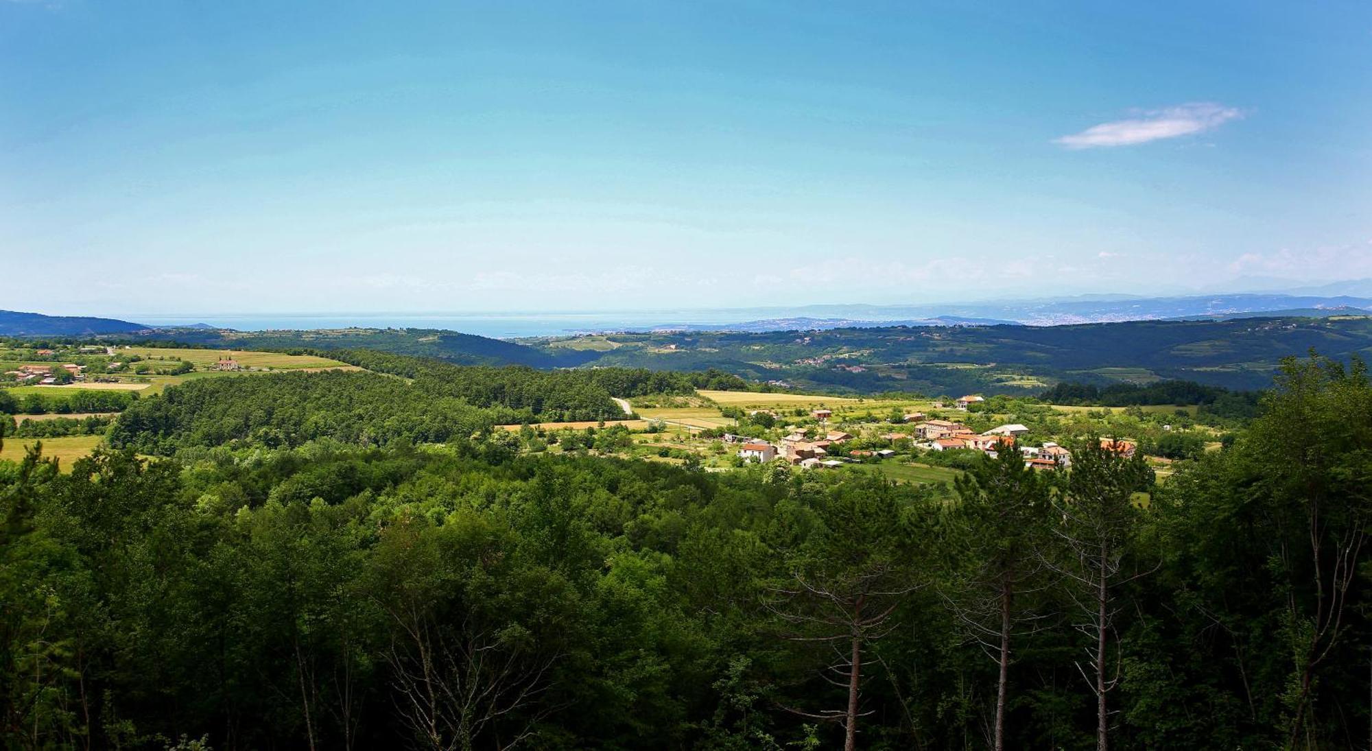 Luxury Villa Gradin Gracisce Экстерьер фото